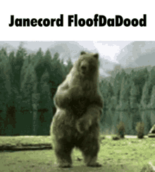 Janecord Floof GIF - Janecord Floof Fnaf GIFs
