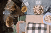 a dog and two cats are sitting at a table with bowls of food on it .