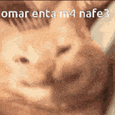 a close up of a cat with the words " omarenta m4 nafez " written above it