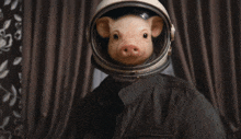 a pig wearing an astronaut 's helmet looks out of it