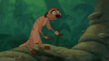 Lion King Timon GIF - Lion King Timon Wtf GIFs