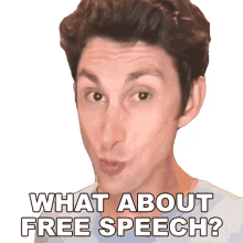 what about free speech maclen stanley the law says what can i still express what i want to say do i still have the freedom of speech