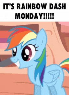 a picture of a pony that says it 's rainbow dash monday !!!