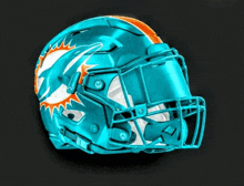 dolphins miami phins phinz up nfl