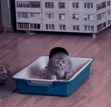 Doomer Cat Cat GIF