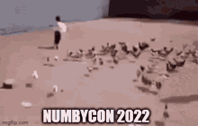 Number81 Numby GIF - Number81 Numby GIFs