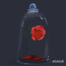 Roses GIF - Roses GIFs