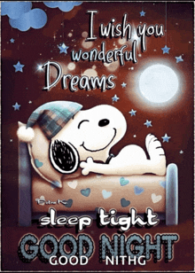 a picture of snoopy laying in bed with the words i wish you wonderful dreams sleep tight good night