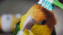 Brush Bird GIF - Brush Bird GIFs