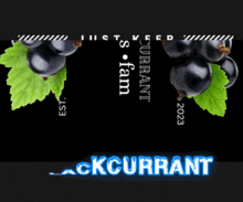 Blackcurrant Fruits GIF - Blackcurrant Fruits GIFs