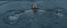 Float Swim GIF - Float Swim GIFs