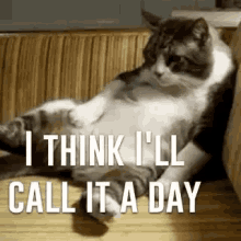 Cat Lazy GIF - Cat Lazy Call It A Day GIFs