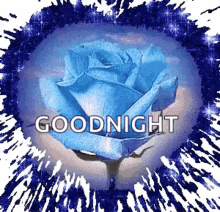 goodnight roses sparkles heart blue