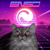 a cat is sitting in front of a neon sign that says " enso "