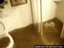 The Toilet Be Like After You Go To Taco Bell GIF