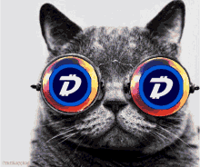 Blundered Dgb Cat Vibing Blunder Digibyte Dons Bergers Vibin Blunder GIF -  Blundered Dgb Cat Vibing Blunder Digibyte Dons Bergers Vibin Cat Vibin Dons  Bergers - Discover & Share GIFs