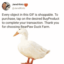 Humor Duck GIF - Humor Duck Sales GIFs