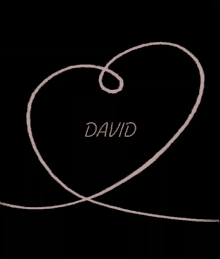 name of david david i love david