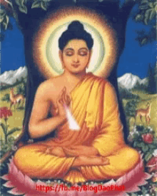 Namo Phật GIF