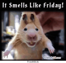 friday smell