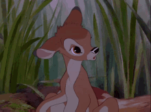 Bambi Bambi The Deer GIF - Bambi Bambi The Deer Disgust GIFs