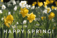 Happy Spring GIF - Happy Spring GIFs