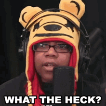What The Heck Aychristenegames GIF - What The Heck Aychristenegames Wtf GIFs