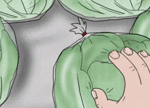 Kevin Spencer Draw On Lettuce GIF - Kevin Spencer Draw On Lettuce Kick Ball GIFs