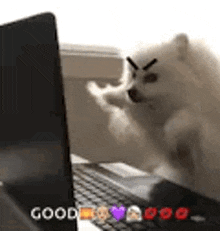 Angry Typing GIF - Angry Typing Office GIFs