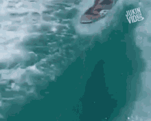 Surfing With Dolphins Surfing GIF - Surfing With Dolphins Surfing Dolphins GIFs