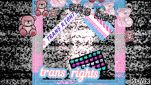 a frame with teddy bears and the words she her trans rights on it