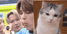 a man and a cat are standing next to each other and the cat has a sticker on its face that says gteam