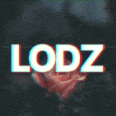 lodz is displayed on a screen with a blurred background
