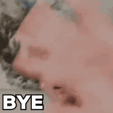 a man says bye in front of a painting of mountains .