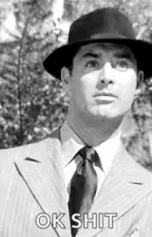 Cary Grant My Favorite Wife GIF - Cary Grant My Favorite Wife 1940s GIFs