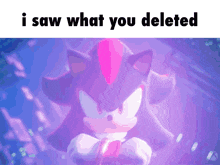 a picture of shadow the hedgehog with the words i saw what you deleted above him
