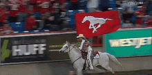 Calgary Stampeders Horse GIF - Calgary Stampeders Horse Riding Horse GIFs