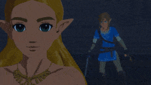 Age Of Calamity Hyrule Warriors GIF