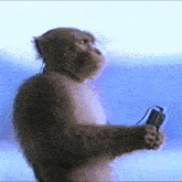 a monkey wearing headphones is holding a camera