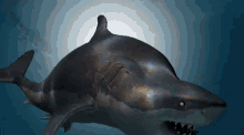 Epic Shark Shark GIF - Epic Shark Shark Ooga Booga GIFs