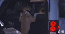 Search Dog In The Trunk GIF