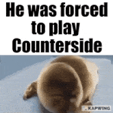 Counterside Counterside Meme GIF - Counterside Counterside Meme Forced To Play GIFs