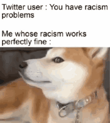 Racism Doge GIF - Racism Doge He Knows GIFs