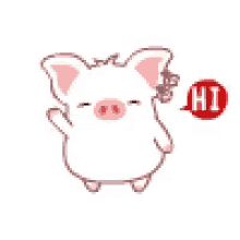 Hi Pig GIF