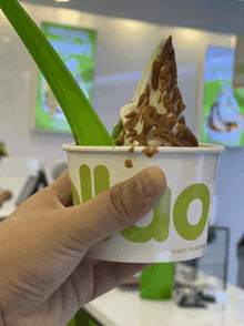 a person is holding a cup of frozen yogurt with a green straw