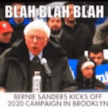 For President Blah GIF - For President Blah Bernie Sanders GIFs