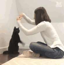 Cat Tricks Jumping Cat GIF