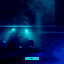 a movie poster for john wick 2 shows a shark swimming in the water