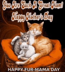 Fur Mama Happy Mothers Day GIF