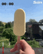 a person is holding a popsicle in front of a thermometer that says ' the sun ' on it